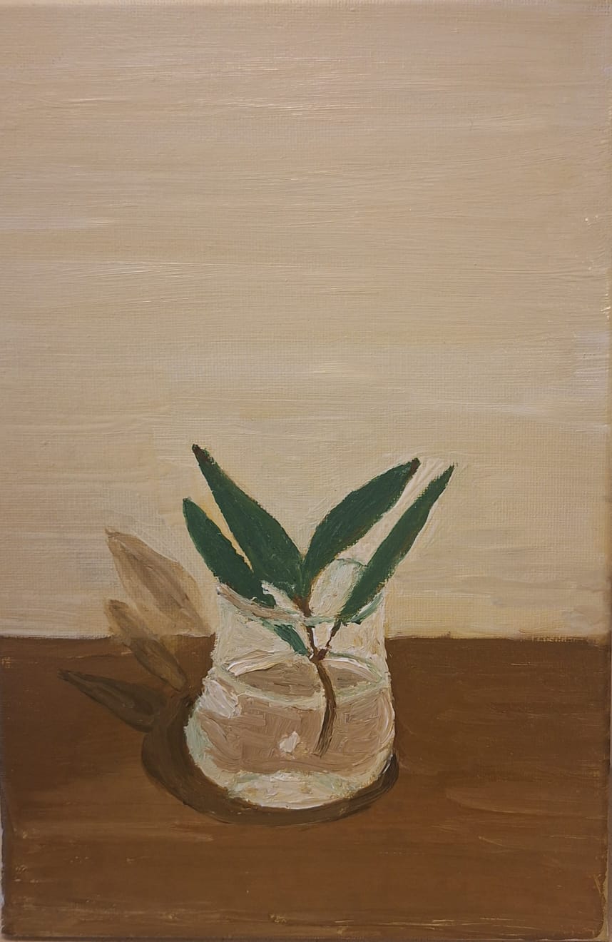 יחורים — שמן